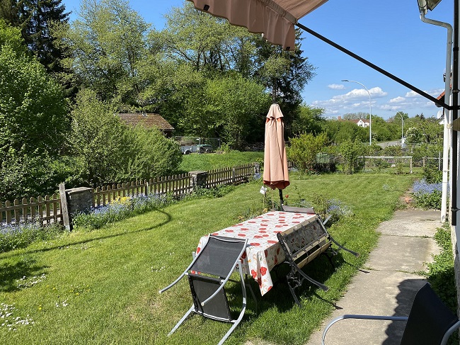 Lotusblüte Bild 2